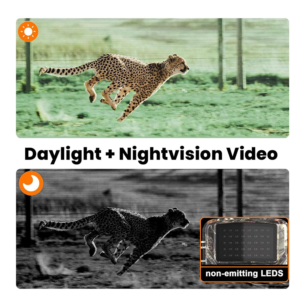 Unseen S1 - Cinematic Trail Camera